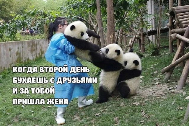 Как мужчины выпивку от жен прячут и втайне от них выпивают