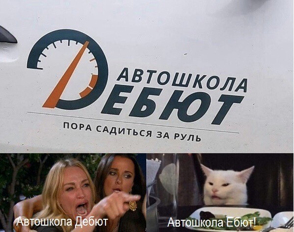 Знаменитый кот