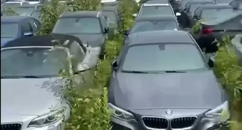 Казах без понтов...