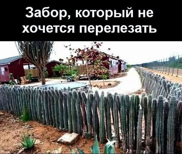 Пятничные картинки