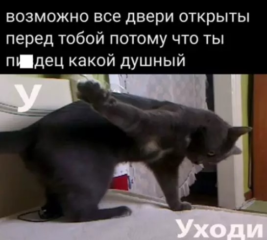 Картиночки, баянчики 15 марта