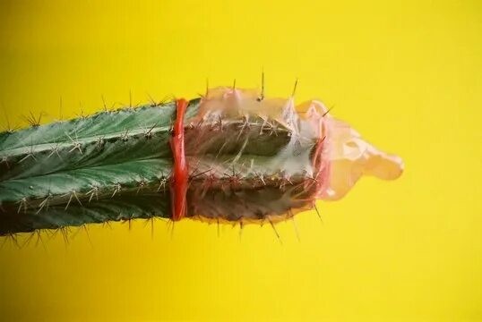 Путин призвал всех россиян объединиться для поднятия демографии