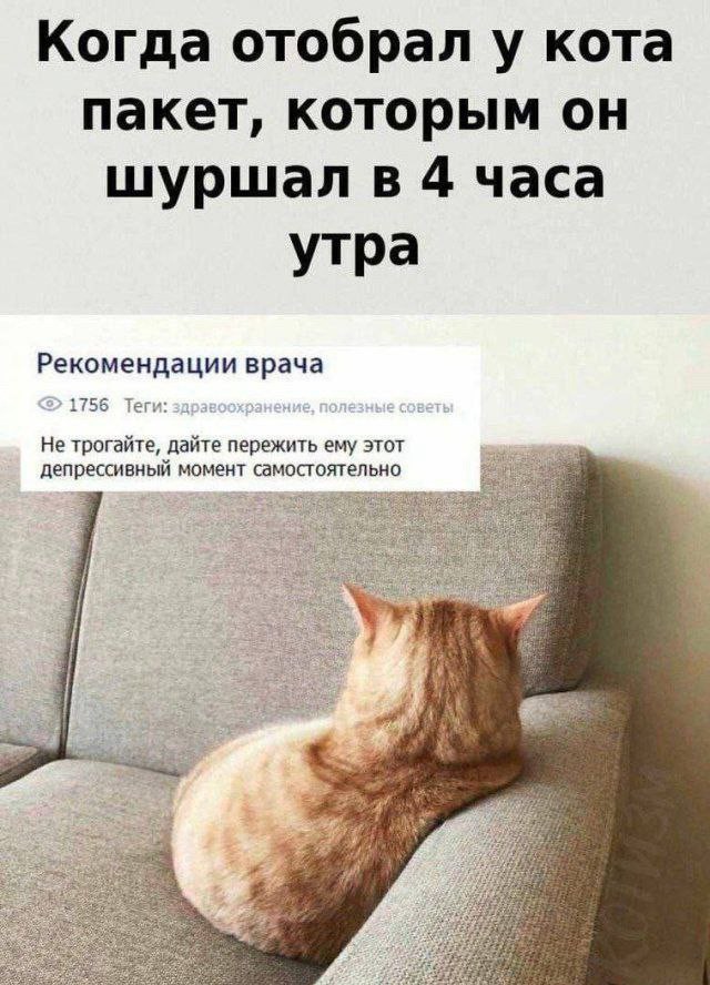 Контент для невзыскательной аудитории