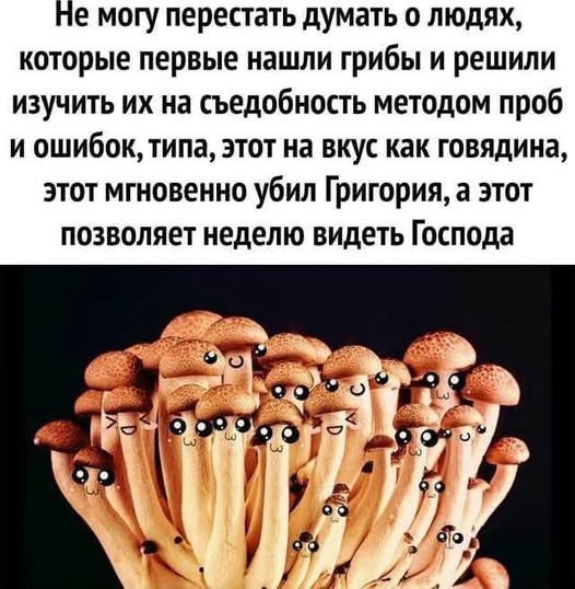 Развивает бизнес в деревне