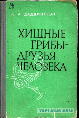 Скрывайся! Оплодотворяй!