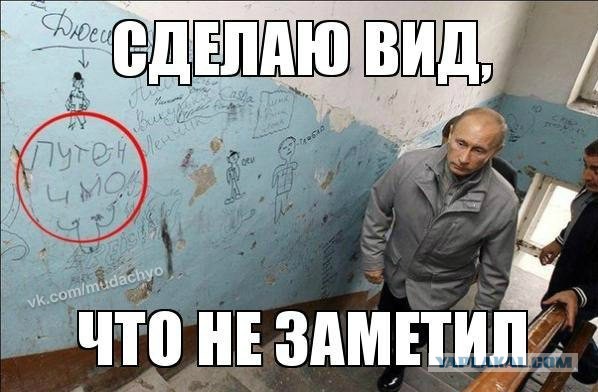 картинки прикольные про вову онлайн картинки прикольные про вову