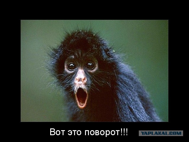 Алле, ты кто такой?!