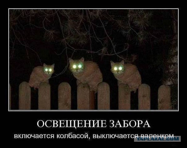 В Крыму захвачены Совмин и Верховная рада, официальных заявлений еще не было