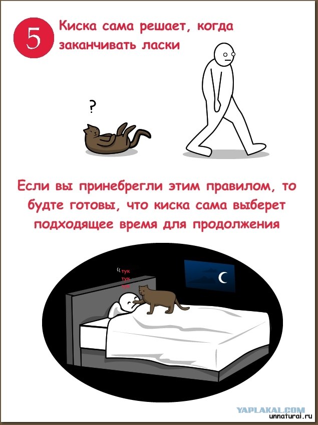 Как приласкать киску?