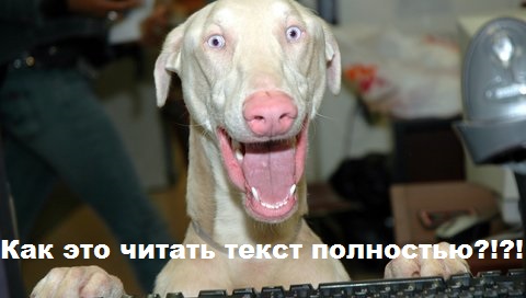 Поймали догхантера