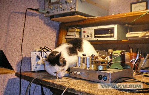 hi-end такой hi-end
