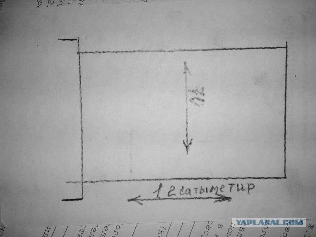 Просто забавные фотки из мобильника