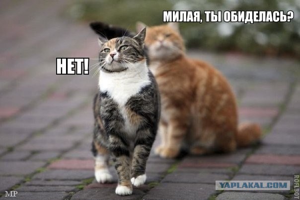 Чёрт, чёрт, чёрт!