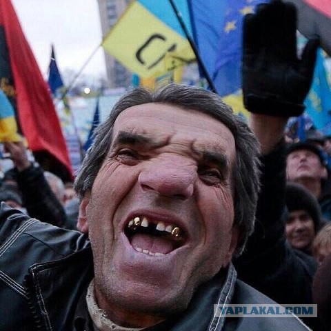 Светлые лица баранов, ведомых на бойню