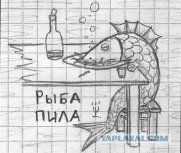 Воскресный тупнячок
