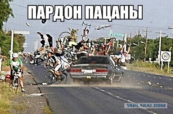 Подборка веселых картинок