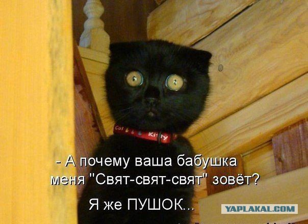 Демотиваторы октября.