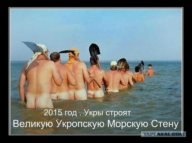 Не юкки ради, улыбки для...