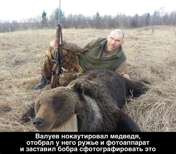 Весёлые картинки