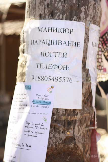 Надоевший всем ГОА с другой стороны.