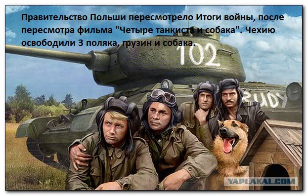Реакция немцев на заявления польского министра
