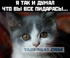 Любителям поднять срач