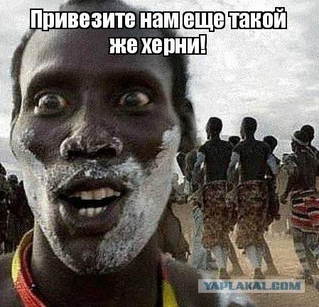 Дорогой Джим, нарисуй, пожалуйста!
