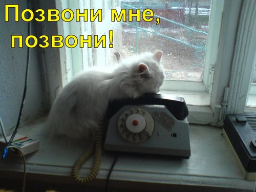 Очередной телефонный развод