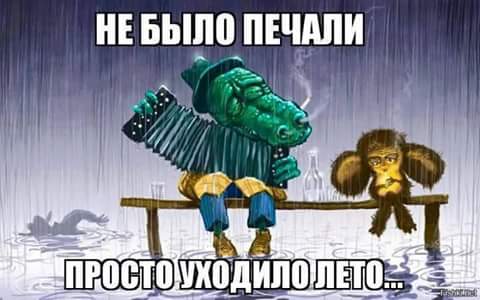 Черный юмор из социальных сетей