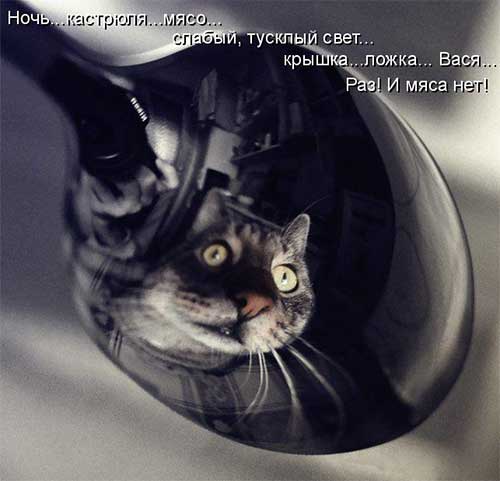 Ночная жуть