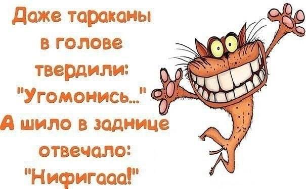 Веселые картинки