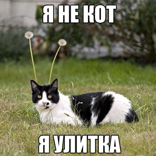 Пост редкостной наркомании и черного юмора