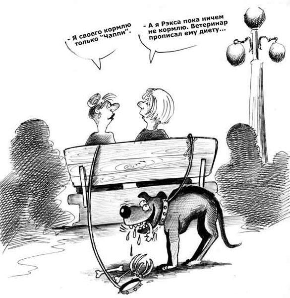 КАРИКАТУРЫ. Прикольные карикатуры