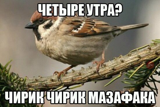 картинки на выходные