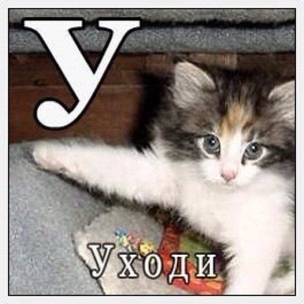 Цены на нефть упали ниже $34 за баррель