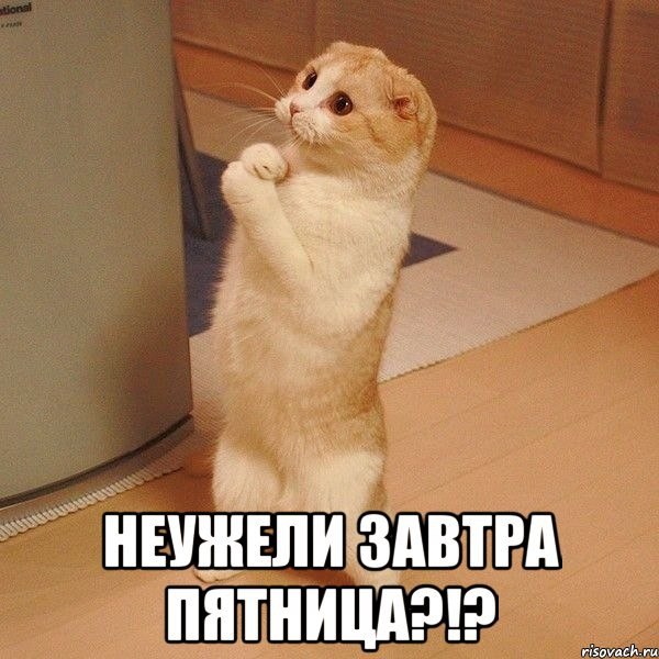 Отовсюду понемногу