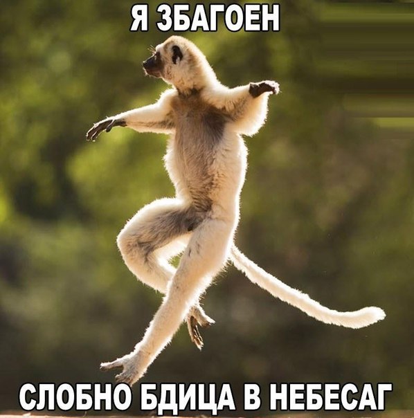 Божьи твари