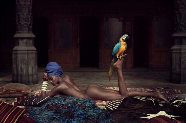 Картинки из интернетов