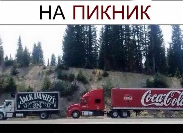 Картинки и приколы из сети