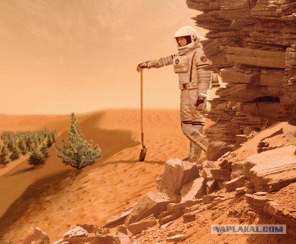 Получены первые цветные фото марсианских скал с зонда Curiosity.