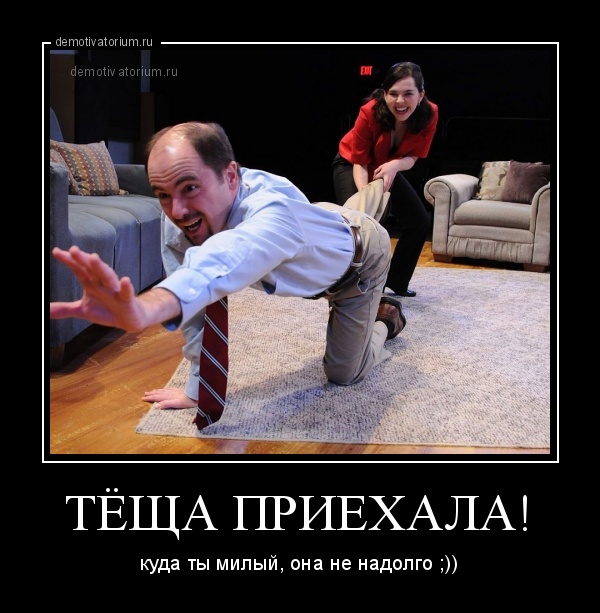 Теща приехала смешные картинки
