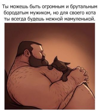 Котовторник 24.01.2017