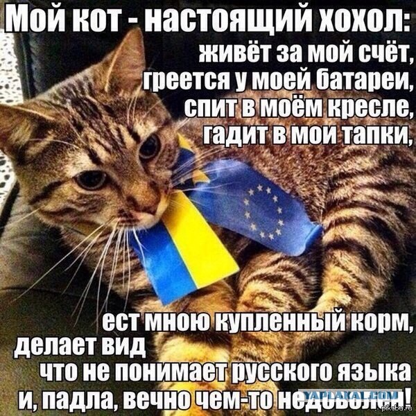 Украинская артиллерия начала массированный обстрел Донецка