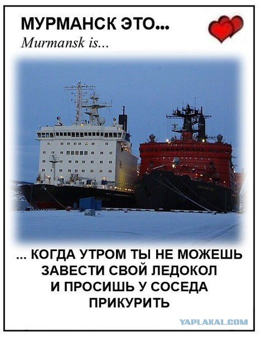 Черный юмор и цинизм в картинках