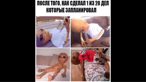 Подборка интересных и веселых картинок