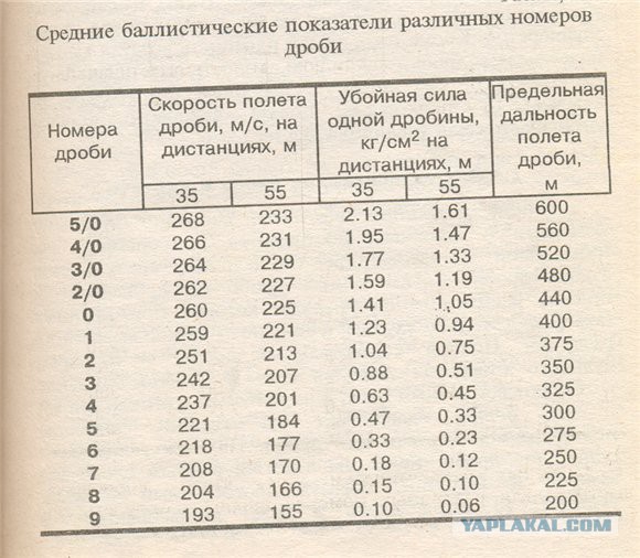 Проверка эффективности дробовика на дистанции