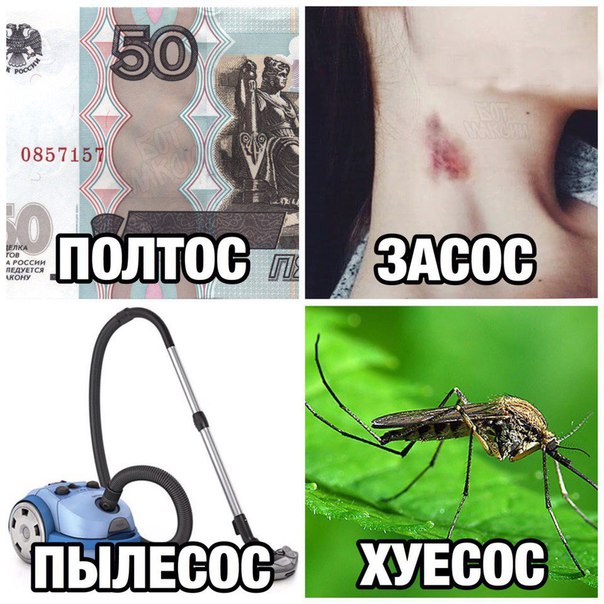 Картинки с глубочайшим жизненным смыслом. Часть третья