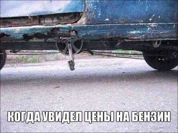 Смешные картинки