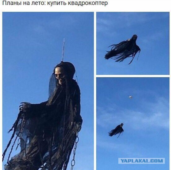 Теперь не только вороны, но и соседи заходить боятся