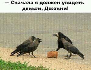 Приколы в стиле "регресс"